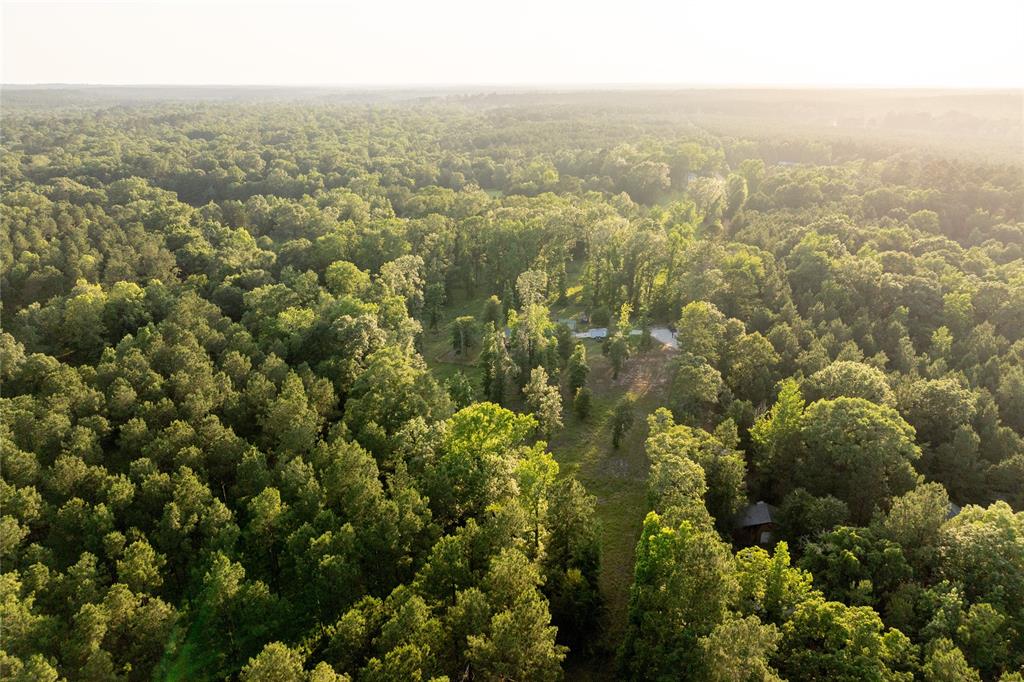 5332 County Road 1180, Kennard, Texas image 10
