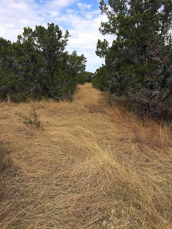 150 Cave Springs Drive, Wimberley, Texas image 7