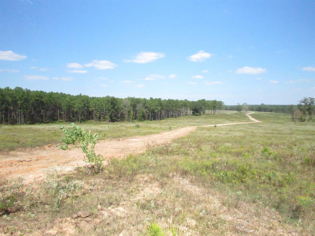 0008 Fm 256 N, Woodville, Texas image 6