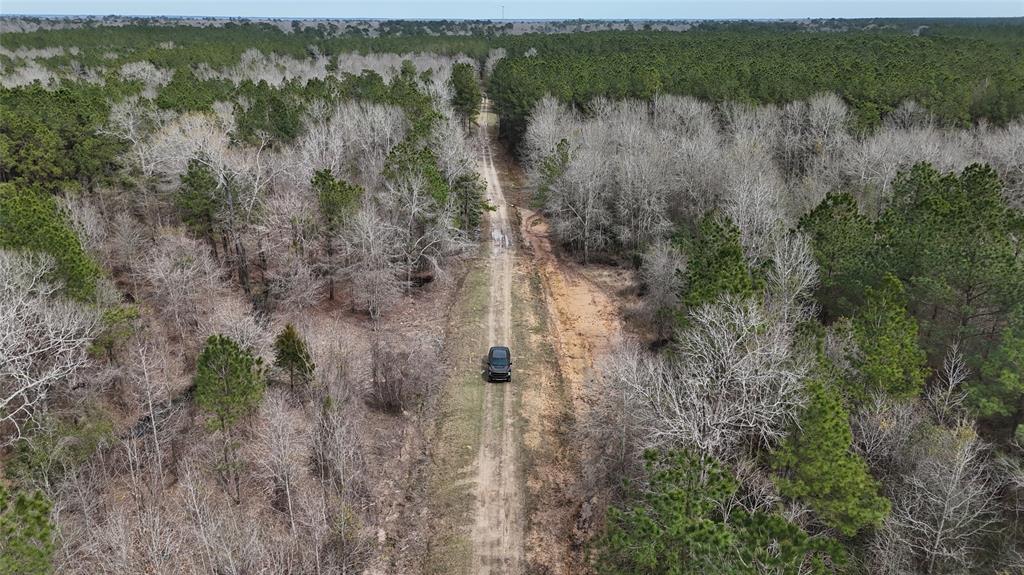 County Line Road, Shepherd, Texas image 9
