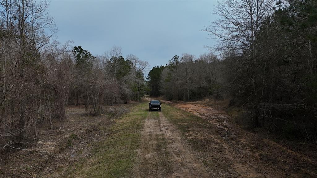 County Line Road, Shepherd, Texas image 11