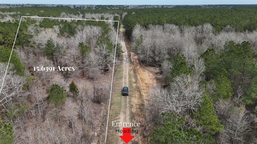 County Line Road, Shepherd, Texas image 3