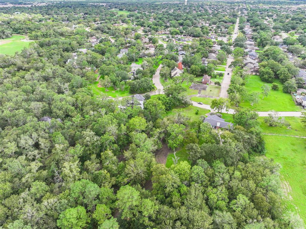 5362 Appleblossom Lane, Friendswood, Texas image 9