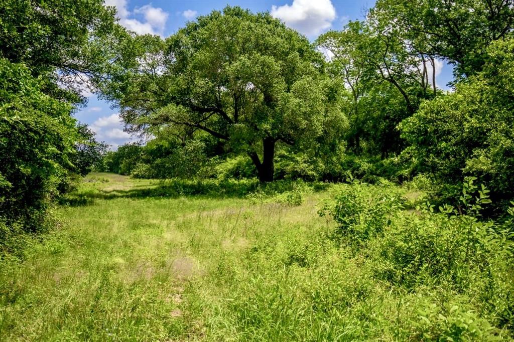 TBD Jackrabbit Lane, Bryan, Texas image 5