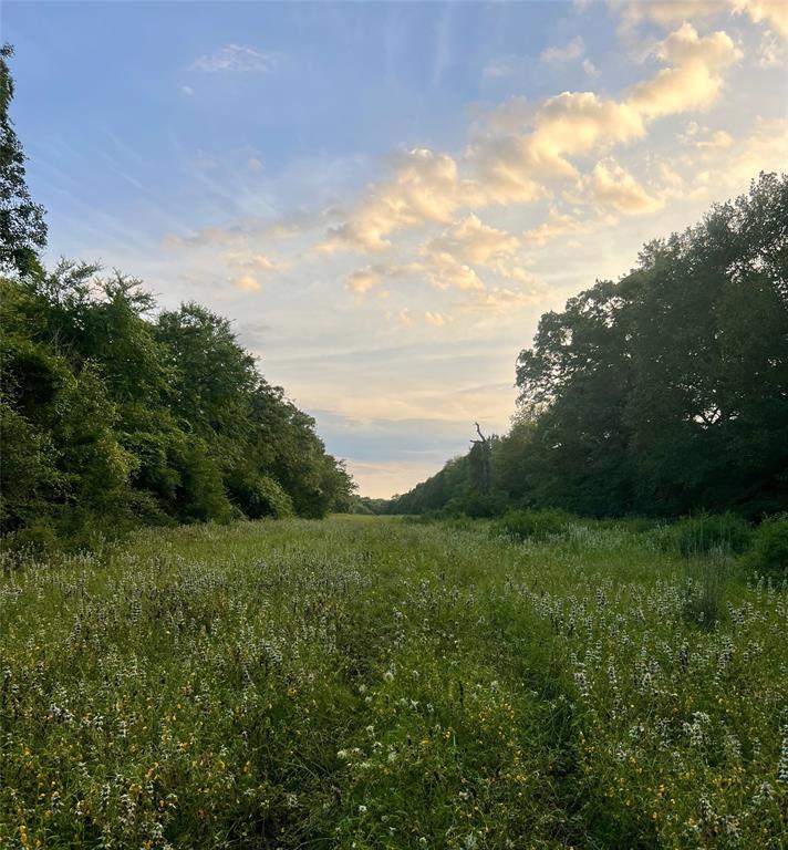 TBD Jackrabbit Lane, Bryan, Texas image 24