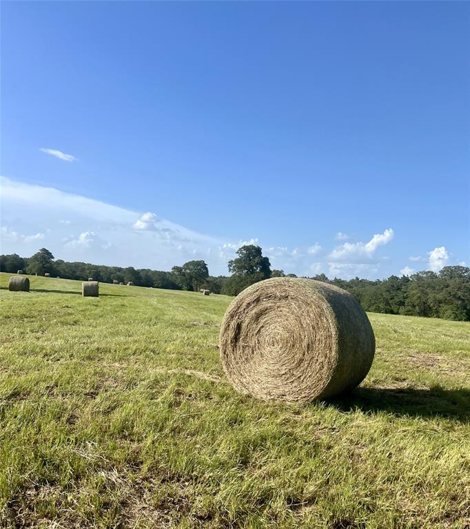 TBD Jackrabbit Lane, Bryan, Texas image 38