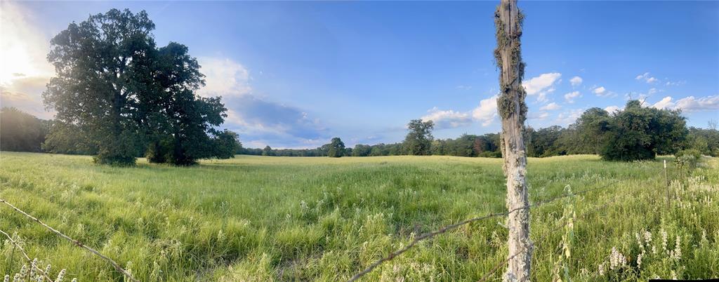 TBD Jackrabbit Lane, Bryan, Texas image 36