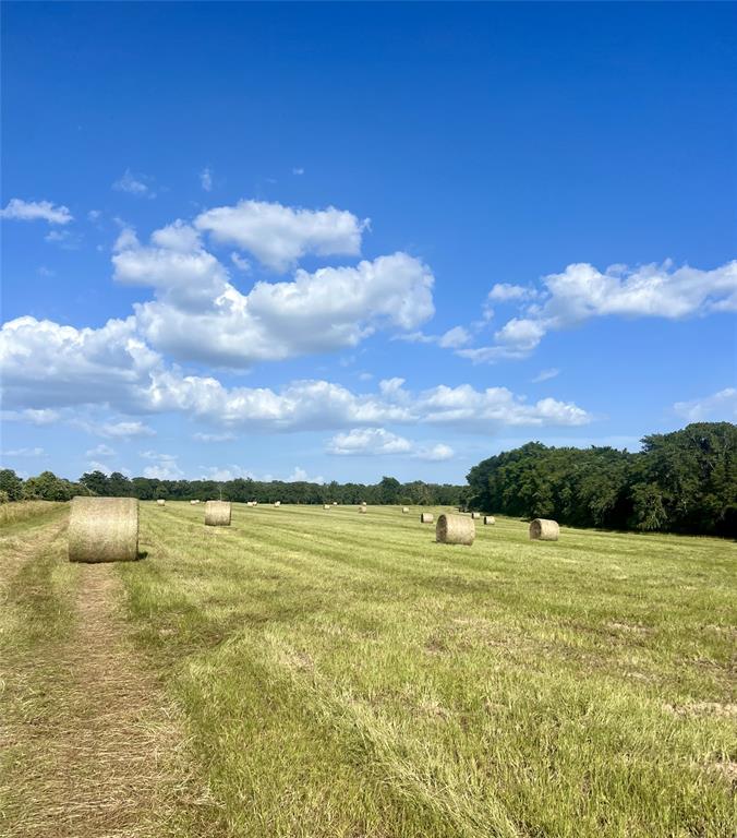 TBD Jackrabbit Lane, Bryan, Texas image 37