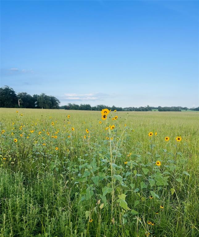 TBD Jackrabbit Lane, Bryan, Texas image 33