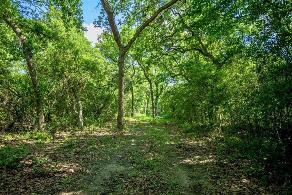 TBD Jackrabbit Lane, Bryan, Texas image 6