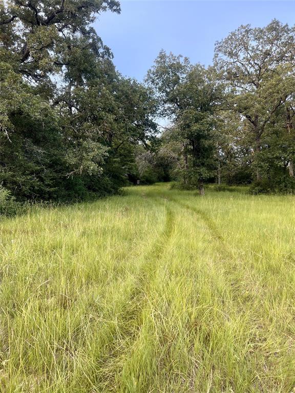 TBD Jackrabbit Lane, Bryan, Texas image 31