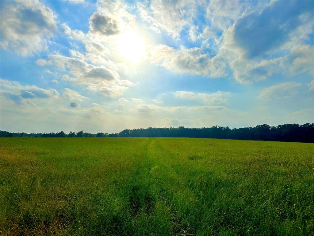 TBD Jackrabbit Lane, Bryan, Texas image 3