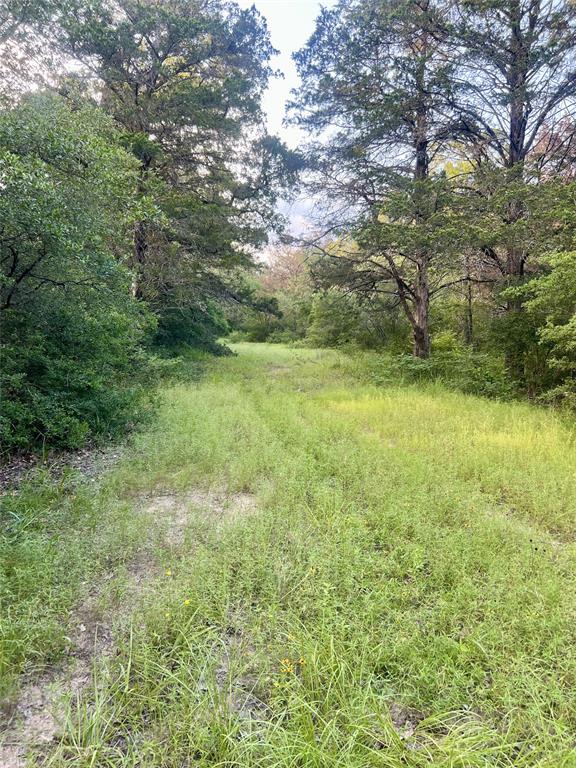 TBD Jackrabbit Lane, Bryan, Texas image 34