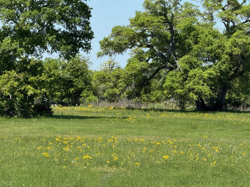 3817 Fm 154, Muldoon, Texas image 33