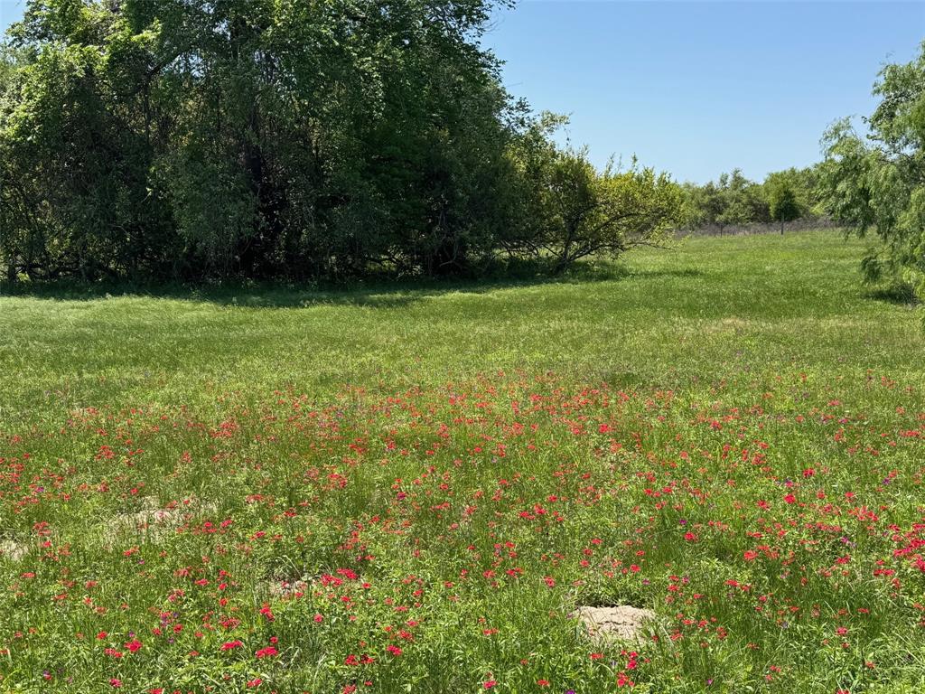 3817 Fm 154, Muldoon, Texas image 35