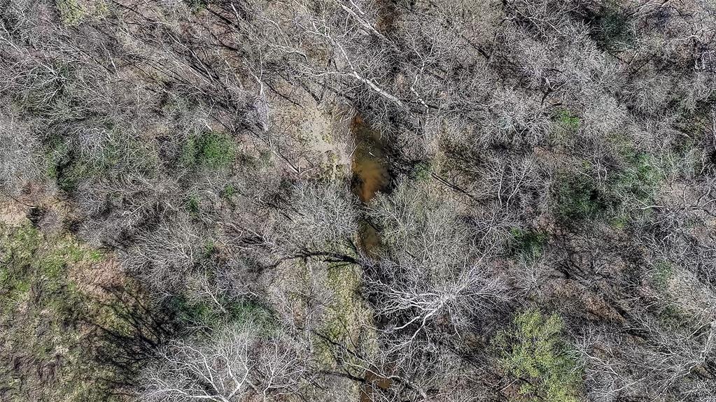 3817 Fm 154, Muldoon, Texas image 28