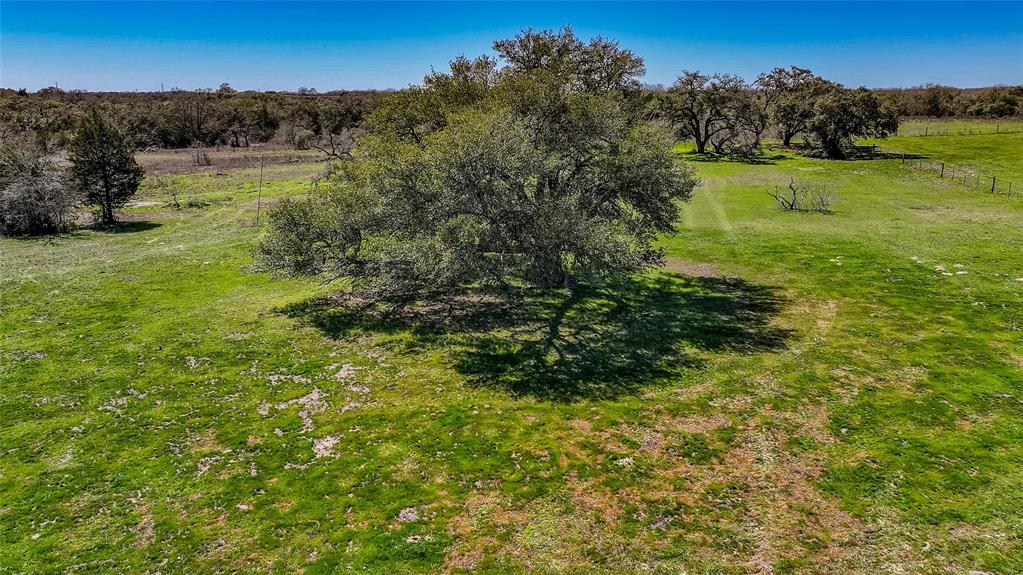 3817 Fm 154, Muldoon, Texas image 24