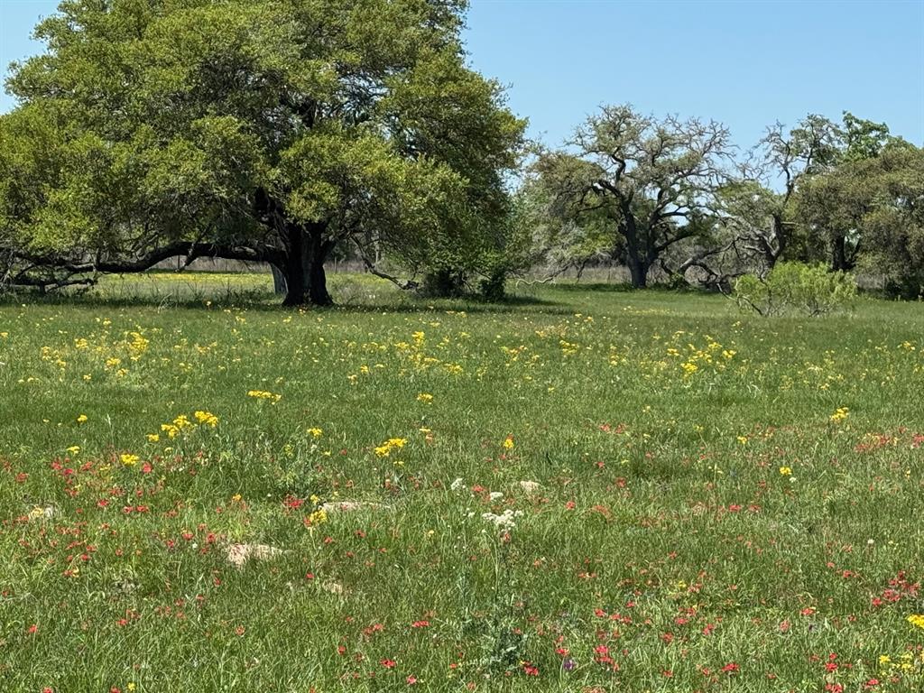 3817 Fm 154, Muldoon, Texas image 3