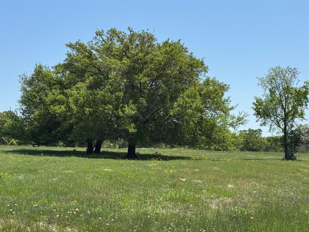 3817 Fm 154, Muldoon, Texas image 5