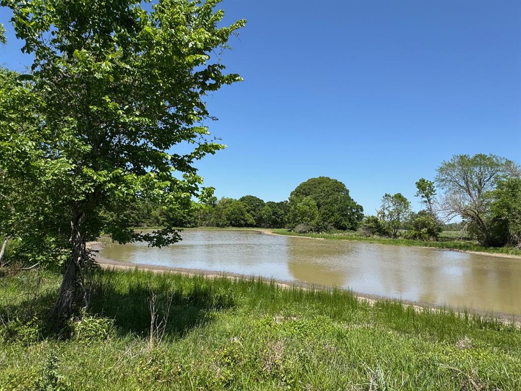 3817 Fm 154, Muldoon, Texas image 34