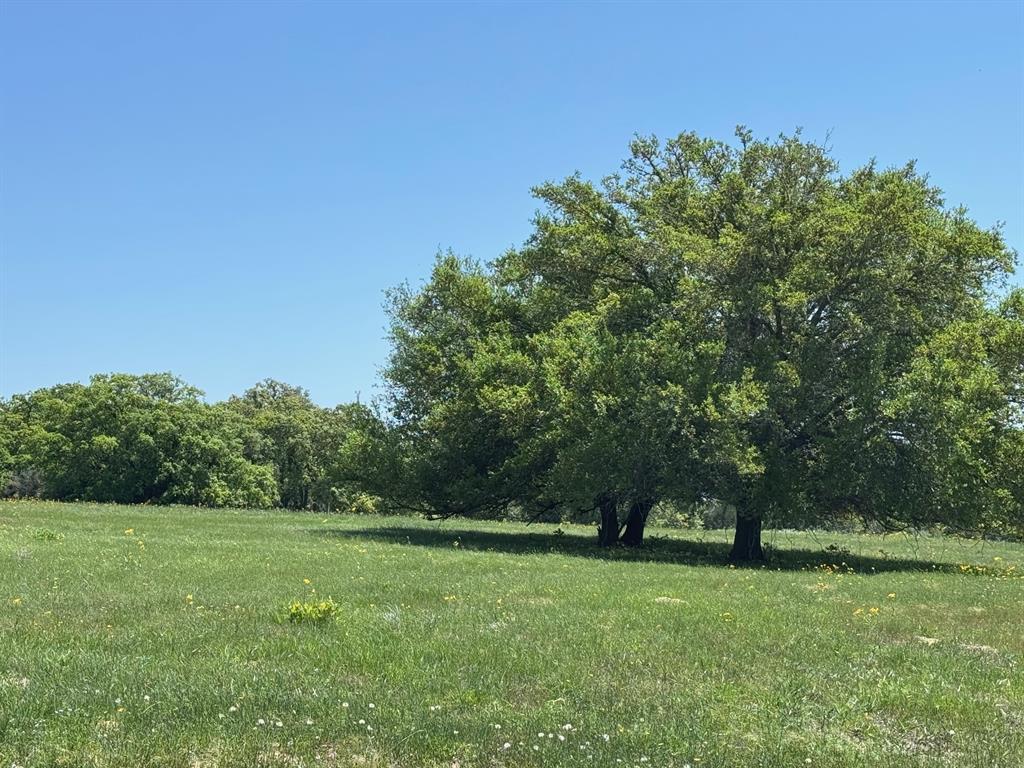 3817 Fm 154, Muldoon, Texas image 32