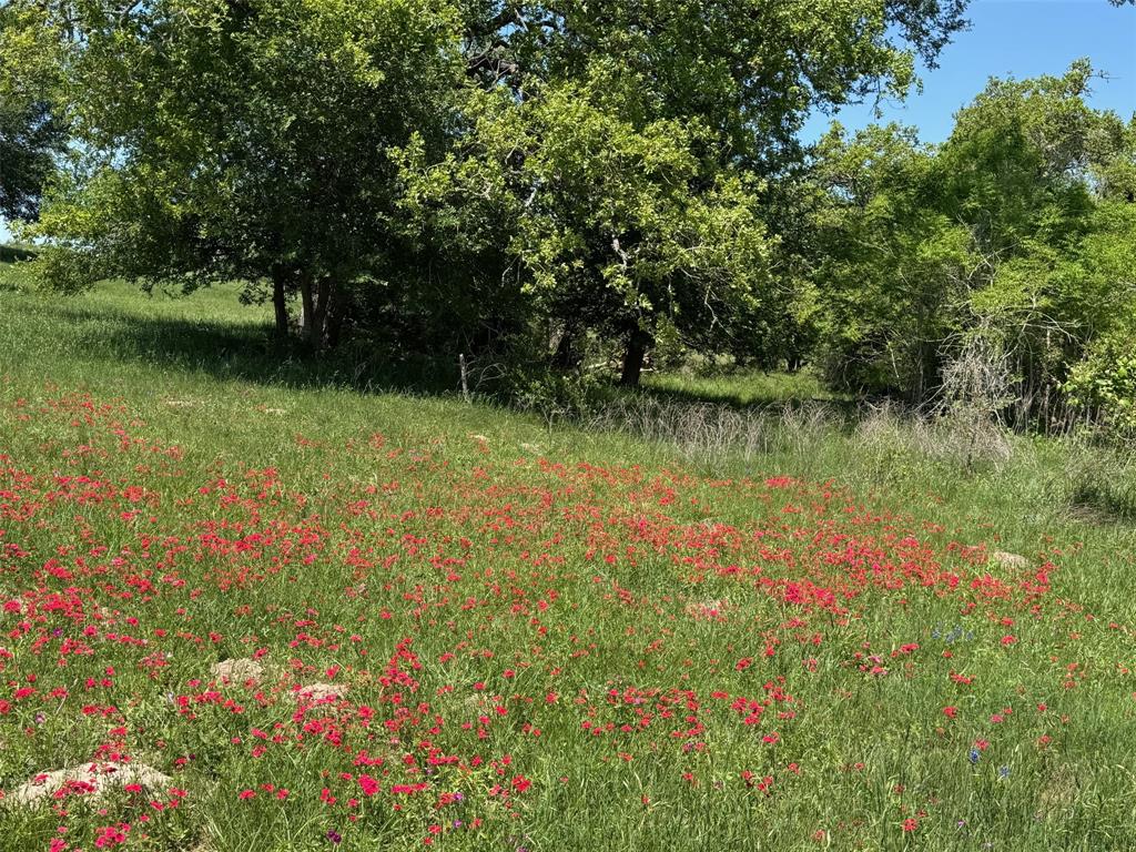 3817 Fm 154, Muldoon, Texas image 4