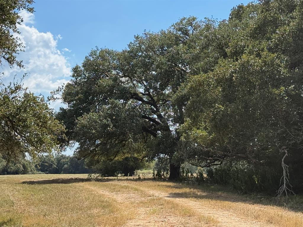 3817 Fm 154, Muldoon, Texas image 15