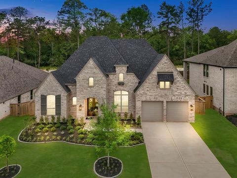 214 Wooded Rill Court Willis TX 77318