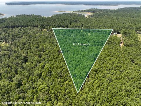 Photo of TBD Fm 3173, Broaddus, TX 75929 (MLS # 15821795) Photo of TBD Fm 3173, Broaddus, TX 75929 (MLS # 15821795)