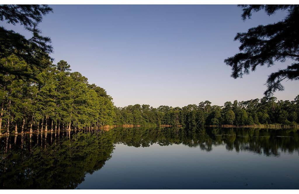115 Rita Blanca Court, Conroe, Texas image 8