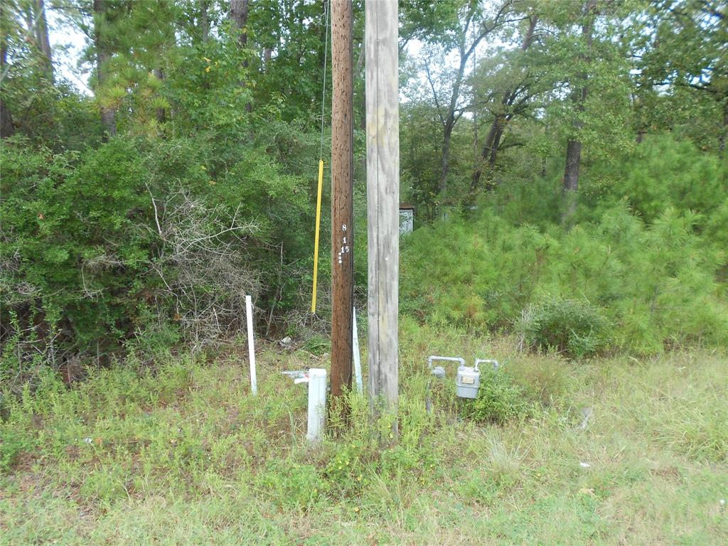 957 N Fm 356, Onalaska, Texas image 7