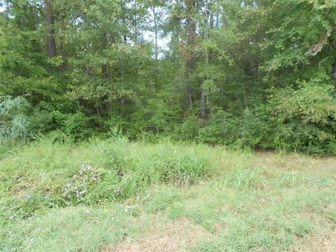 Photo of 957 N Fm 356, Onalaska, TX 77360 (MLS # 85630434)