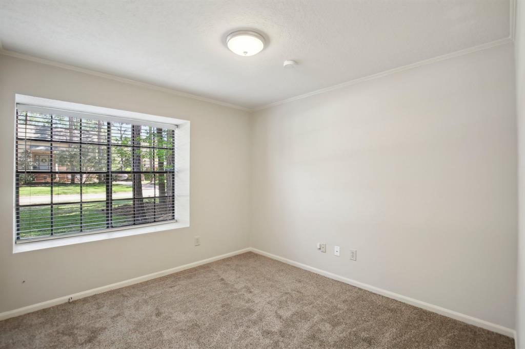 55 Sylvan Forest Drive, The Woodlands, Texas image 22