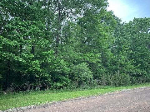 TBD Eastgate Park Livingston TX 77351