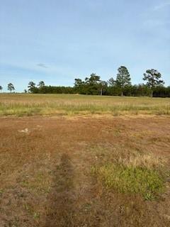 Lakeland Loop, Hillister, Texas image 9