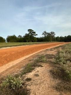 Lakeland Loop, Hillister, Texas image 13