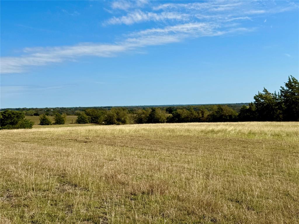 2022 Boehnemann Road, Burton, Texas image 4