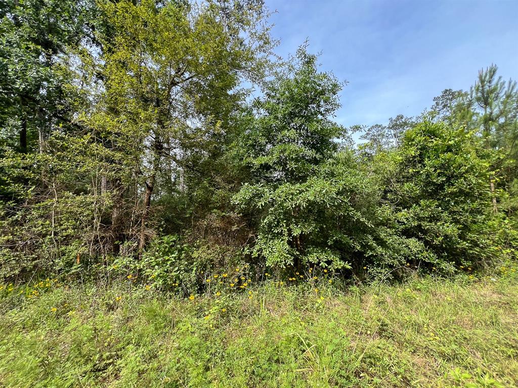 3 Salem Church Road, Willis, Texas image 7