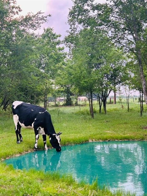 6AC County Road 930 Mexia TX 76667