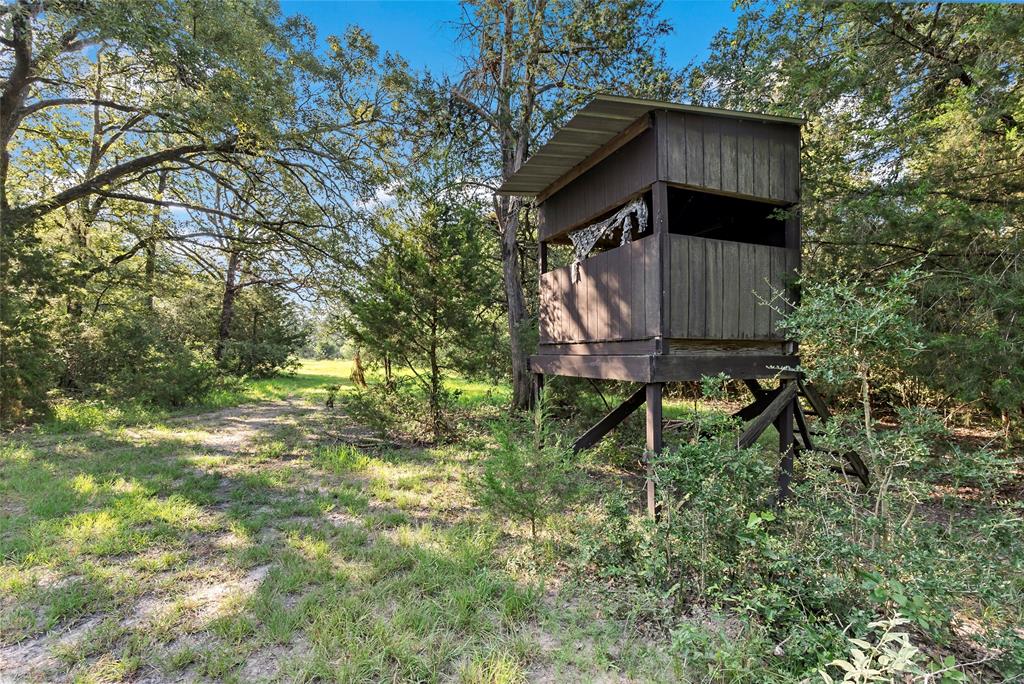 4282 Happy Haven Lane, Midway, Texas image 44