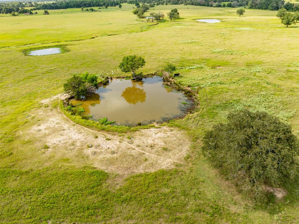 3220 Fm 1365, Mexia, Texas image 34