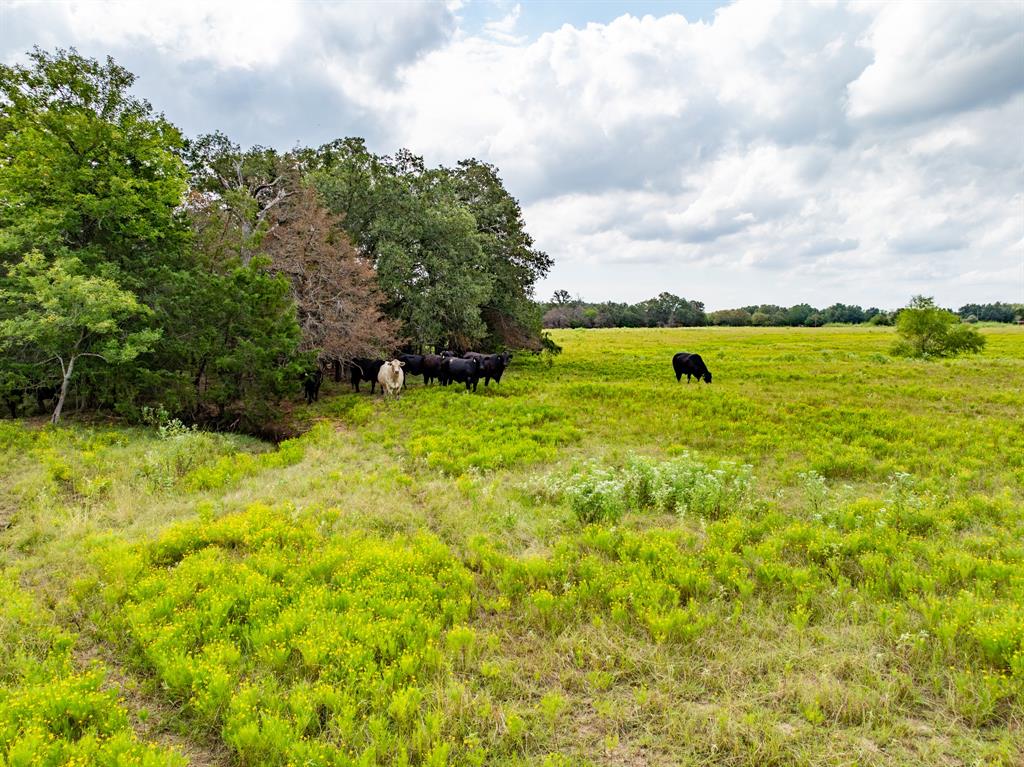 3220 Fm 1365, Mexia, Texas image 20