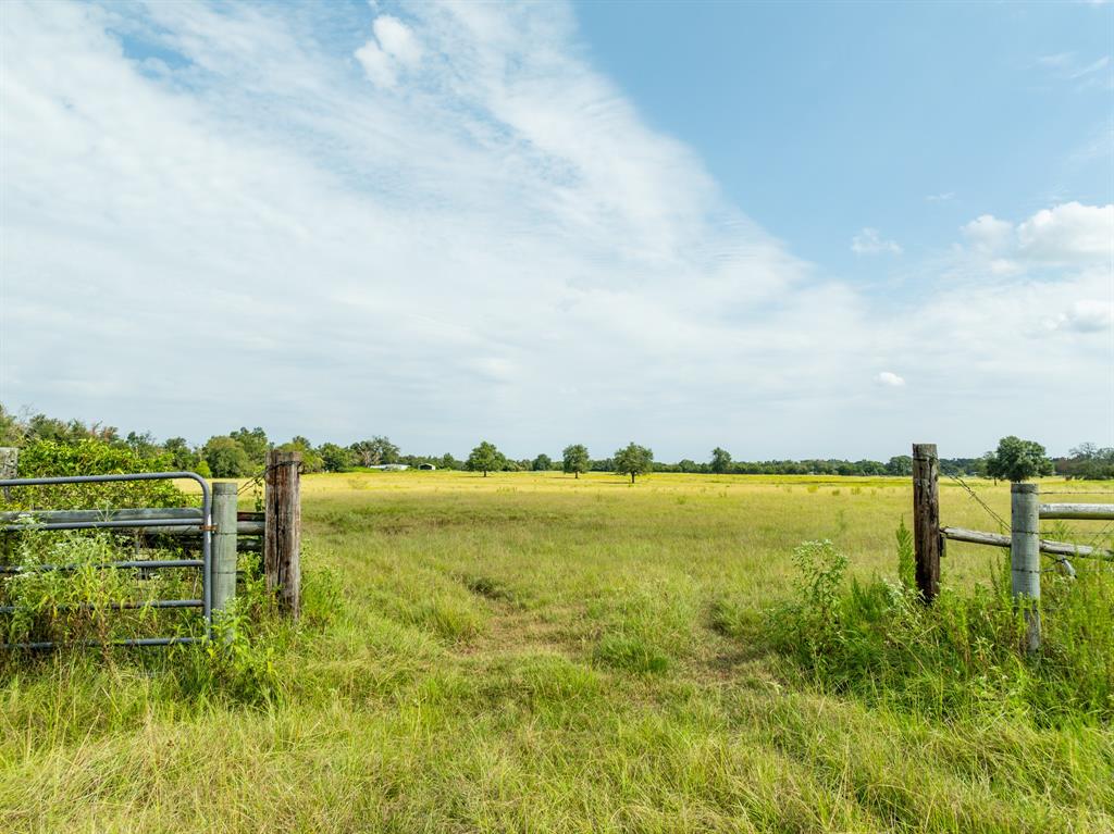 3220 Fm 1365, Mexia, Texas image 28