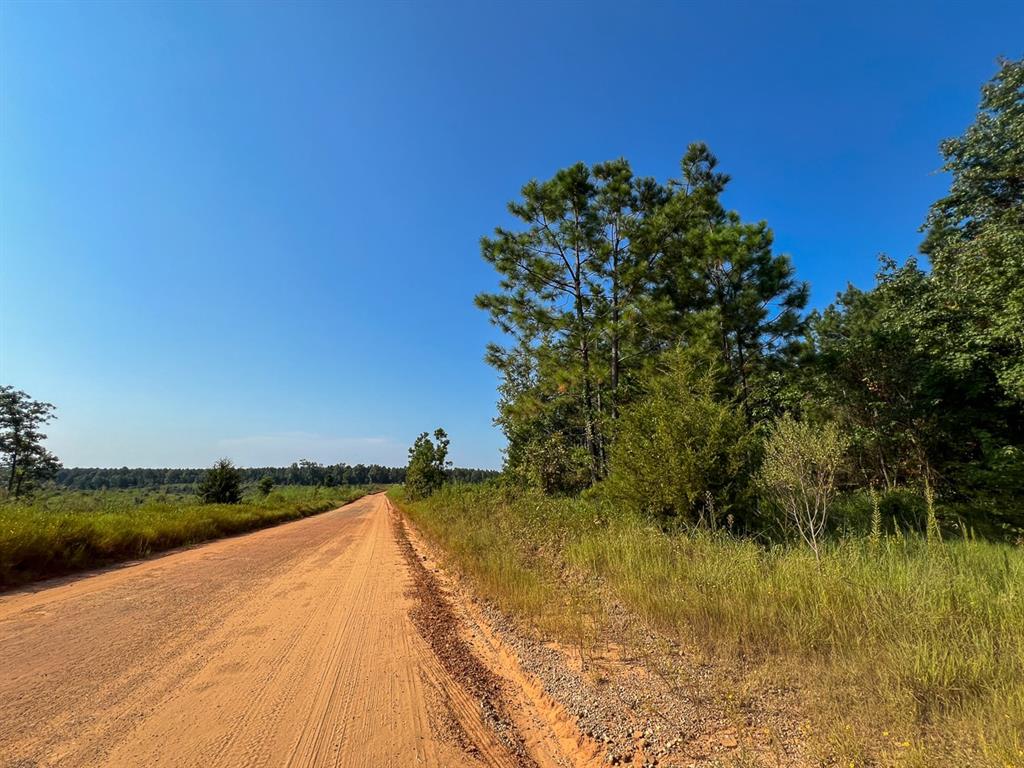 Hwy 190, Woodville, Texas image 12