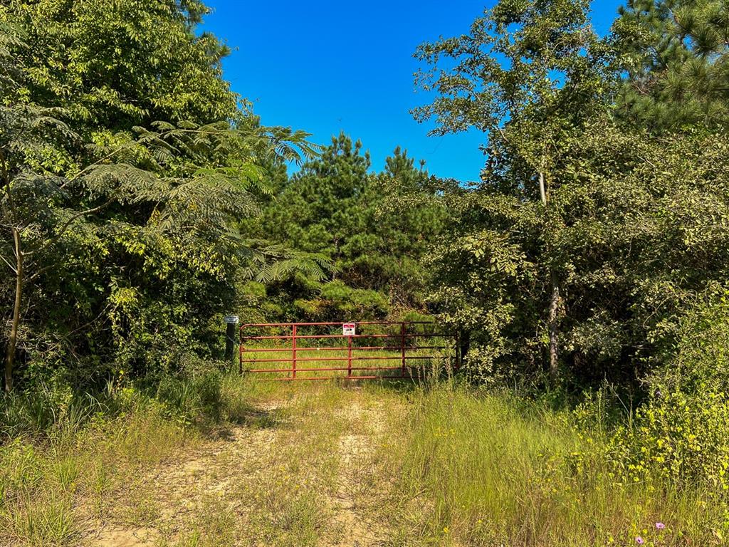 Hwy 190, Woodville, Texas image 8