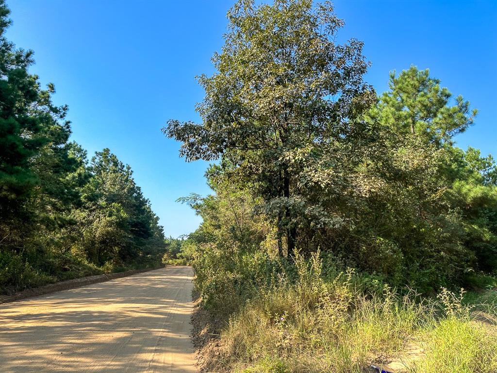 Hwy 190, Woodville, Texas image 6