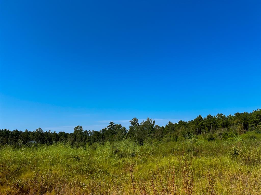 Hwy 190, Woodville, Texas image 2