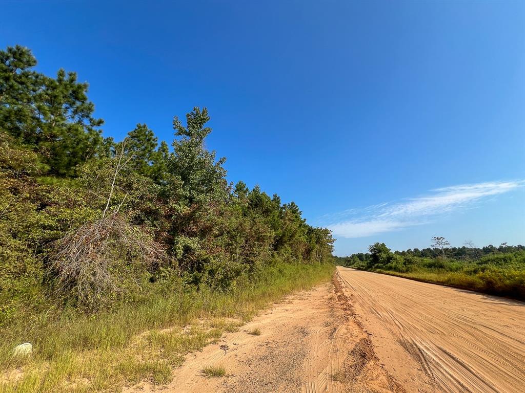 Hwy 190, Woodville, Texas image 11