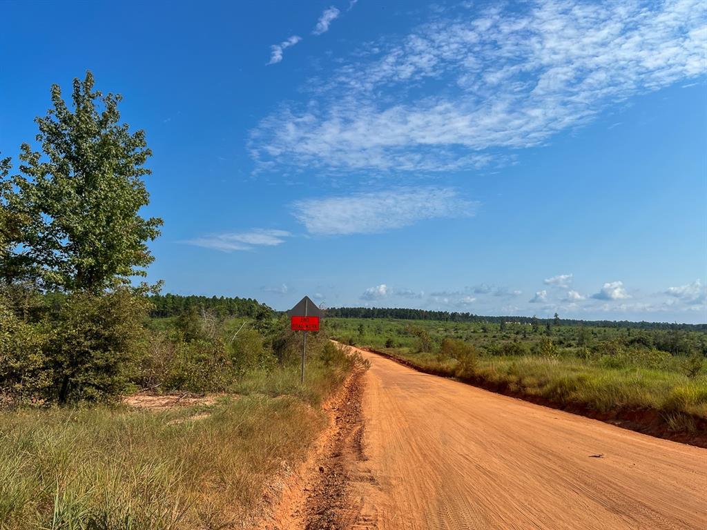 Hwy 190, Woodville, Texas image 4