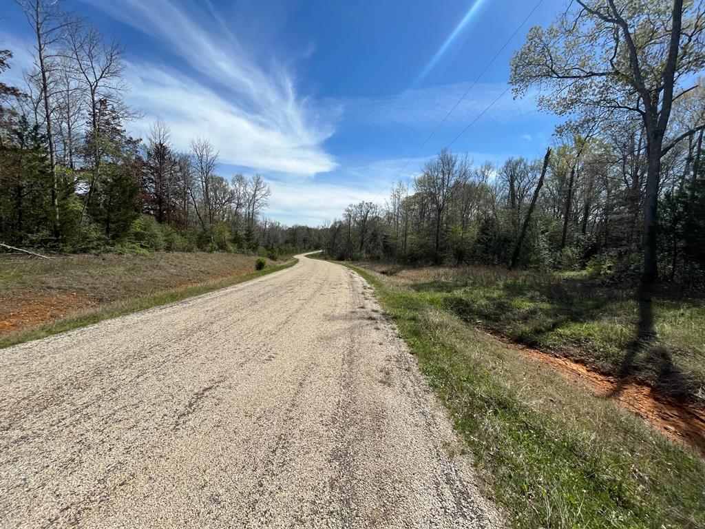 Fm 977, Leona, Texas image 1